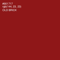 #901717 - Old Brick Color Image